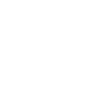 eCommerce Development & Management
