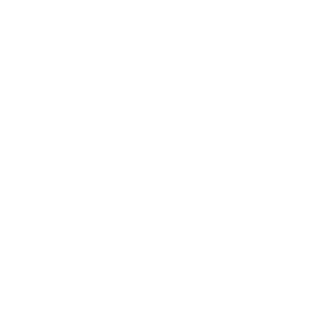 Influencer Marketing