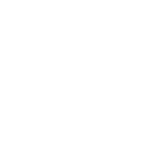 Social Media Management