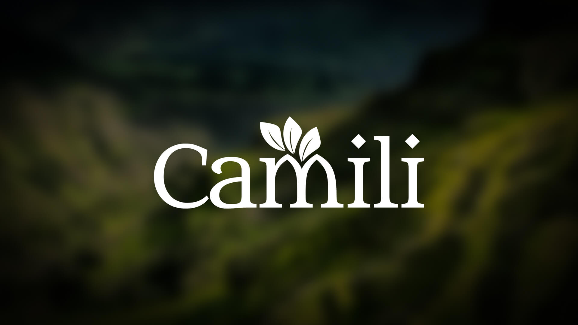 Camili Brand Identity