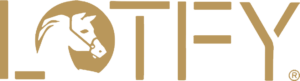 lotfy