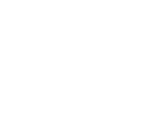 x-partner