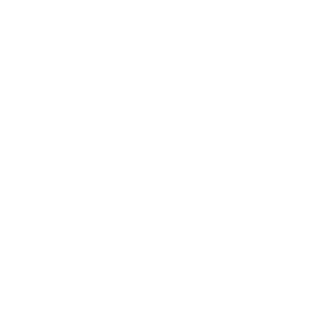 Daily Career Support