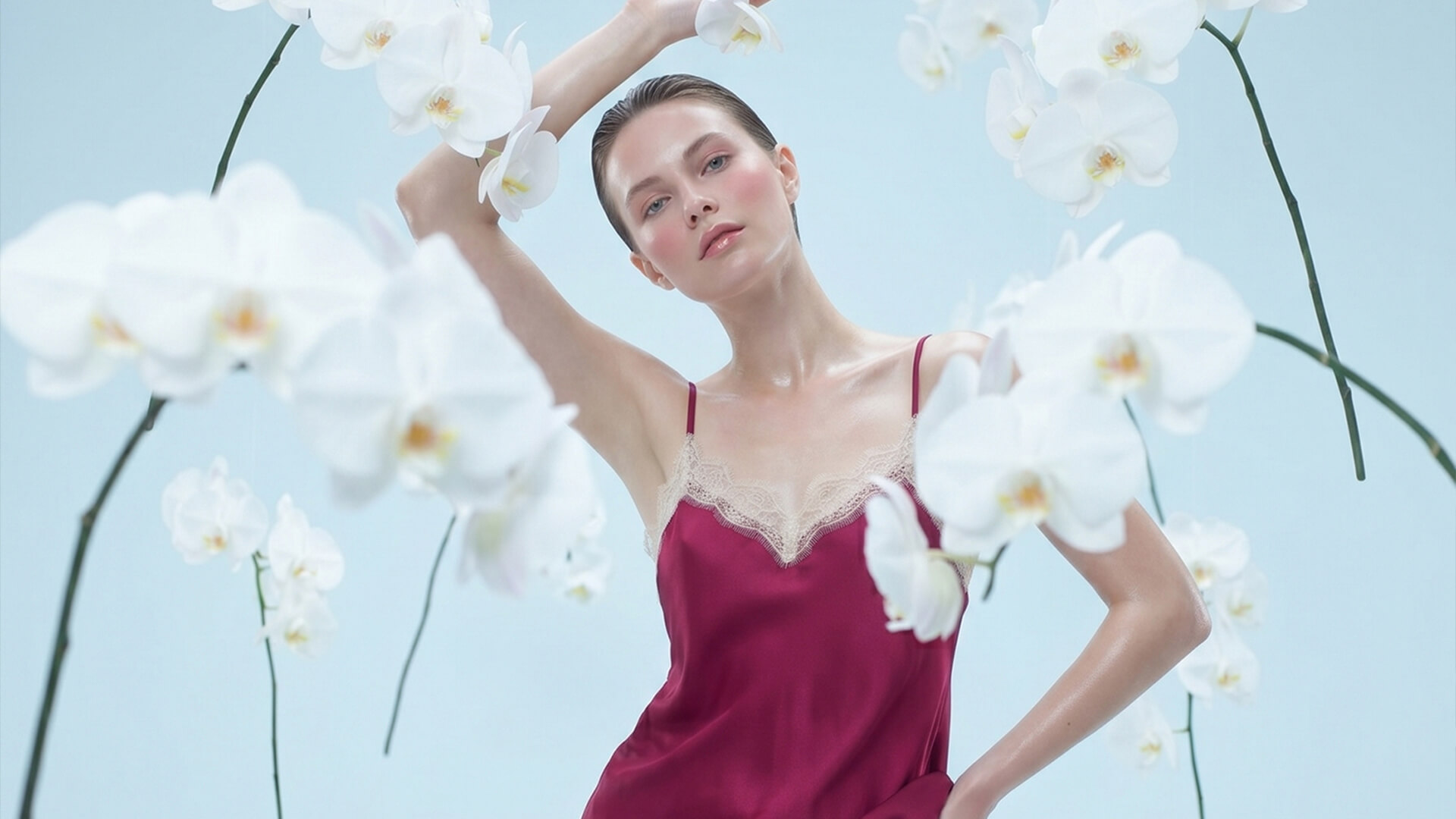 Orchid Reverie: A Dream in Bloom
