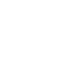 Commercial Partnerships